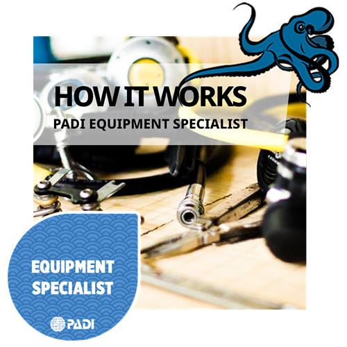 Equipment Specialty